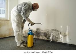 Best Commercial Mold Inspection  in Brielle, NJ